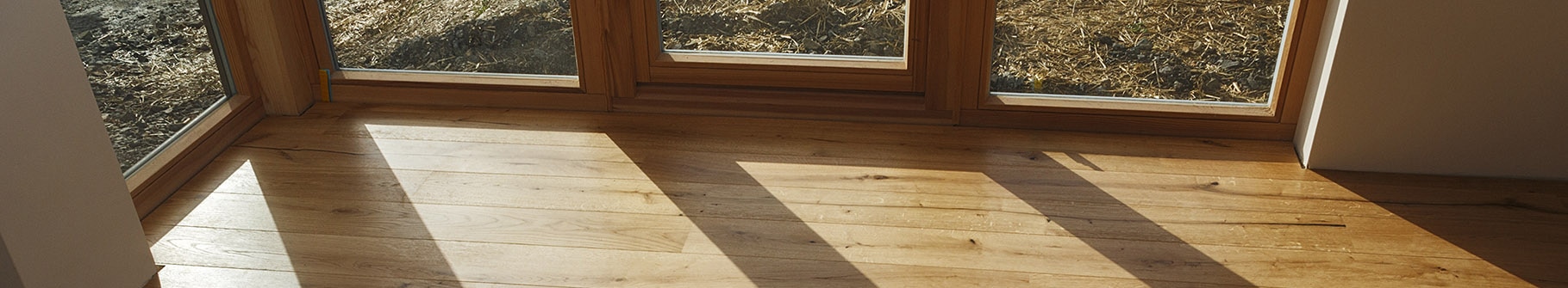 dog urine stain hardwood floor